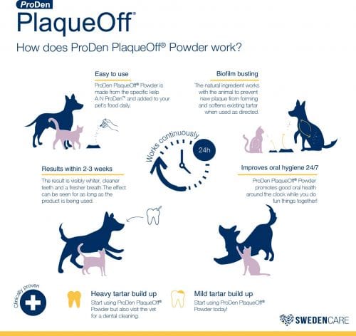 Proden PlaqueOff Dental Powder Supplement for Cats